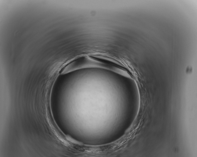 X0000095960097200801181454