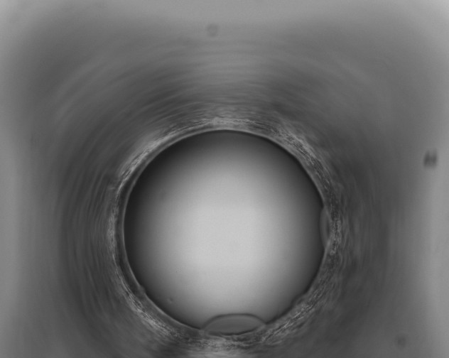 X0000095960098200801181454