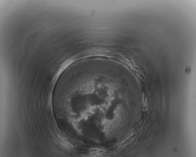 X0000095960099200801181454