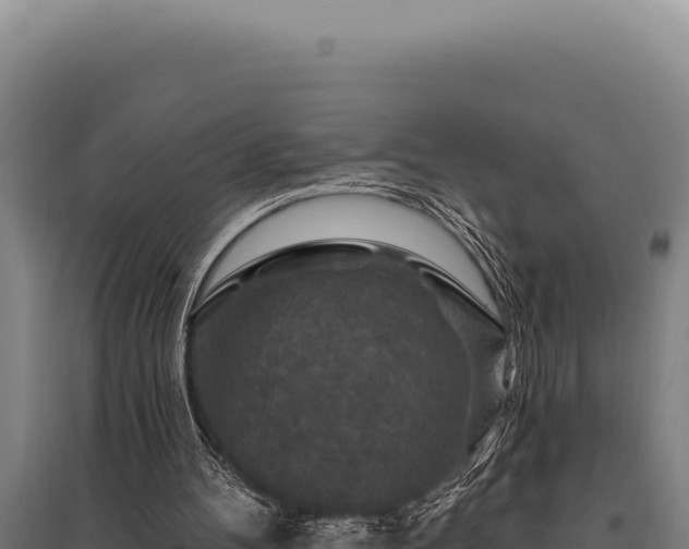 X0000095960100200801181454