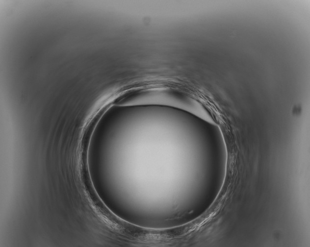 X0000095960101200801181454