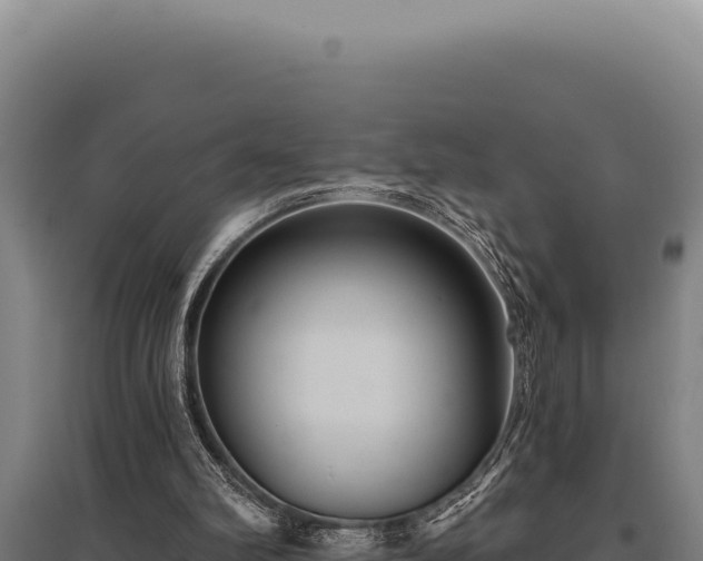 X0000095960102200801181454