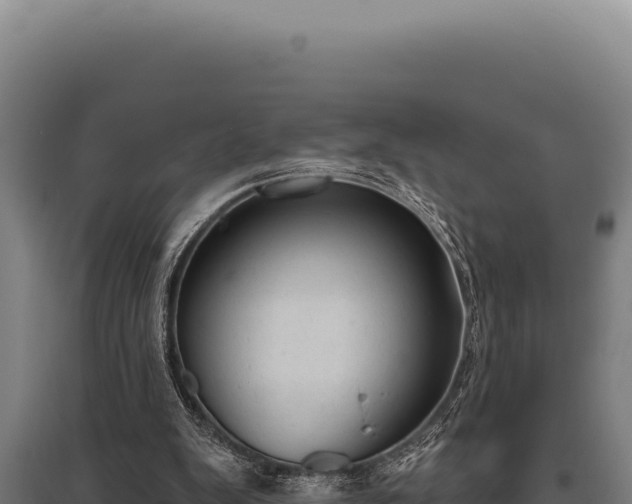 X0000095960103200801181454