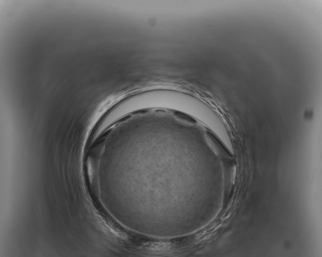 X0000095960104200801181454