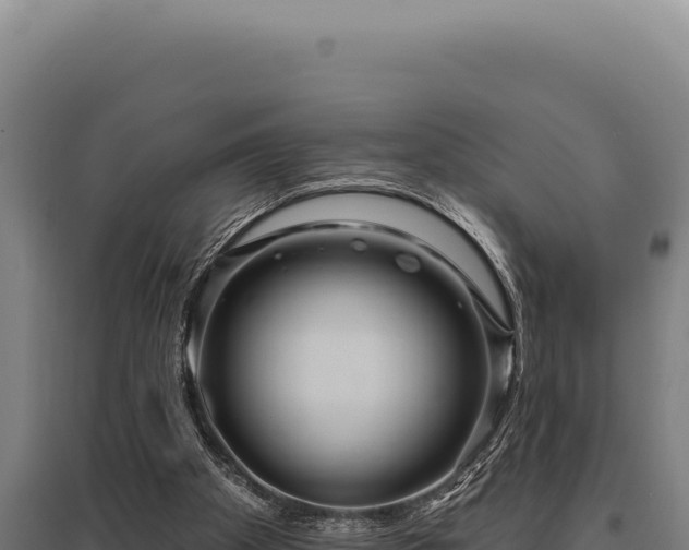 X0000095960105200801181454