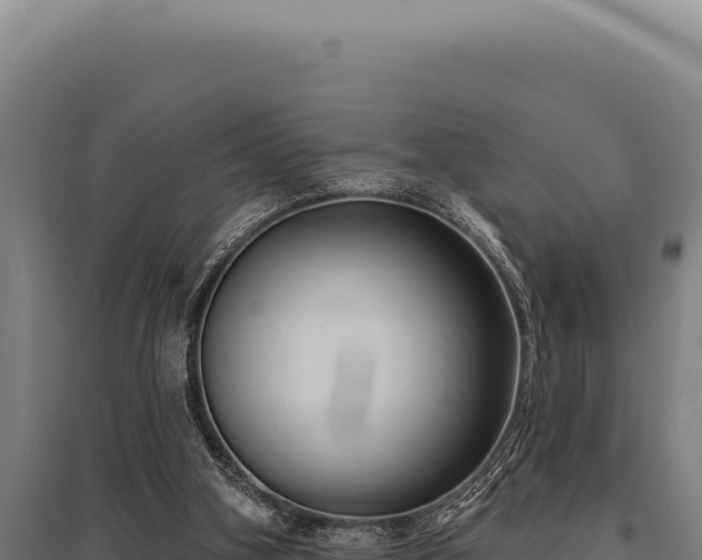 X0000095960106200801181454