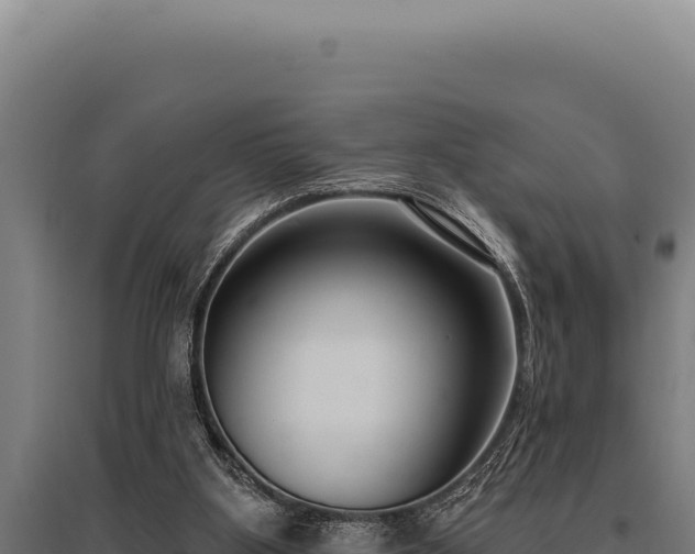 X0000095960107200801181454