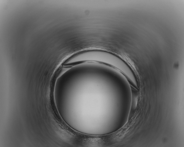 X0000095960108200801181454