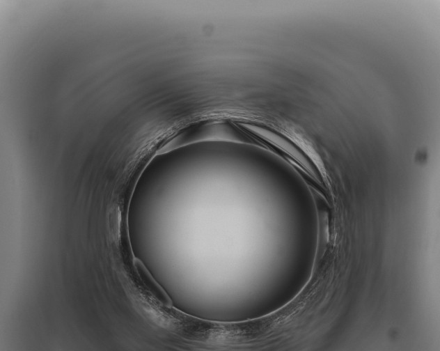 X0000095960109200801181454