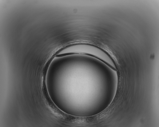 X0000095960110200801181454