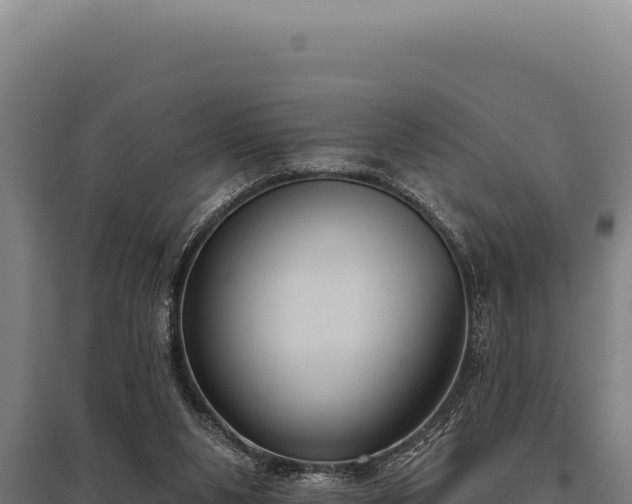 X0000095960111200801181454