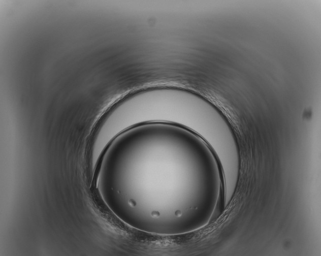 X0000095960112200801181454