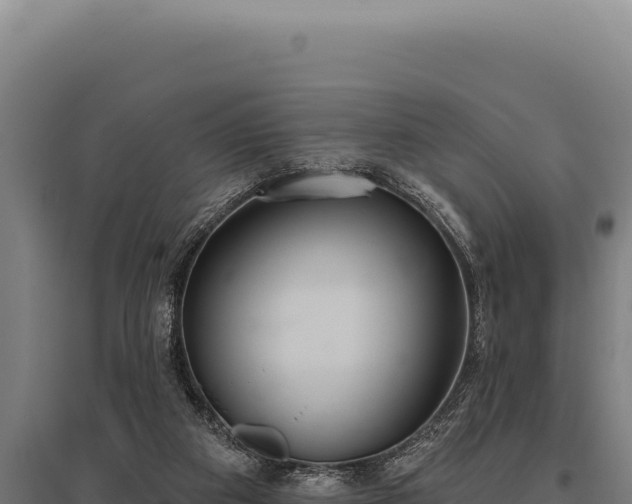 X0000095960113200801181454