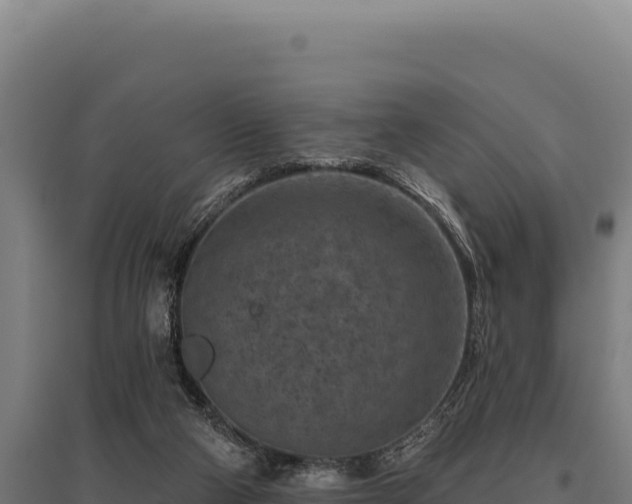 X0000095960114200801181454