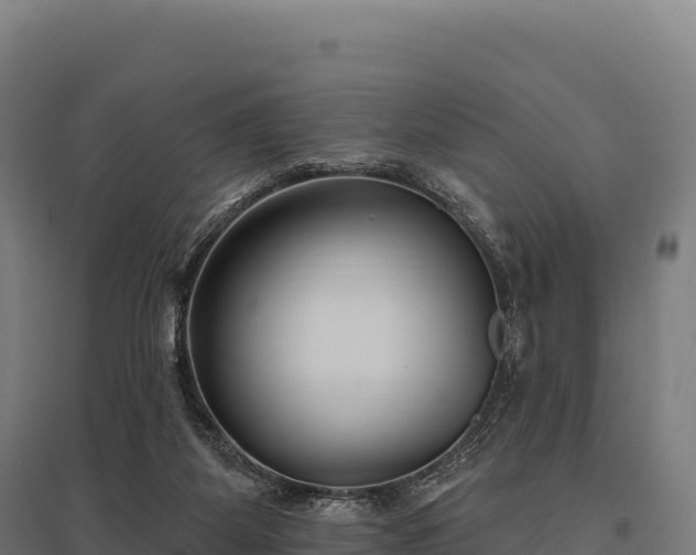 X0000095960115200801181454