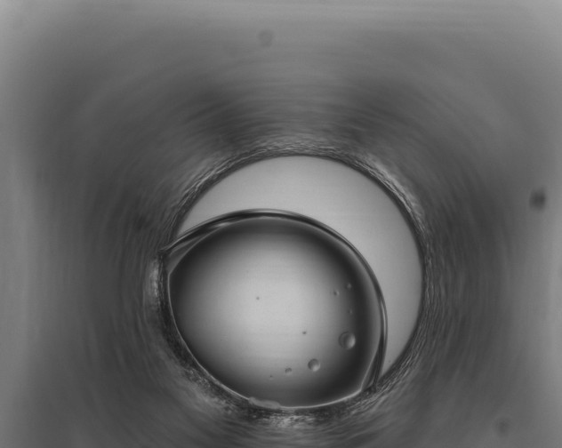 X0000095960117200801181454