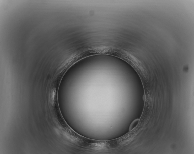 X0000095960118200801181454