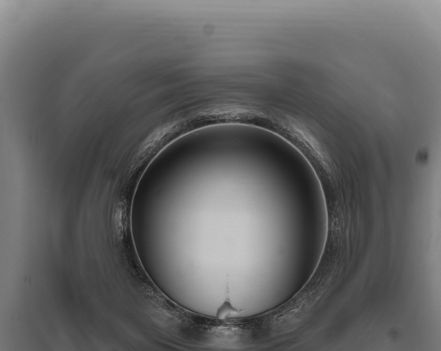 X0000095960119200801181454