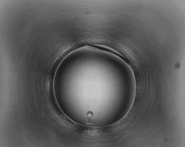 X0000095960120200801181454