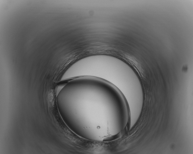 X0000095960121200801181454