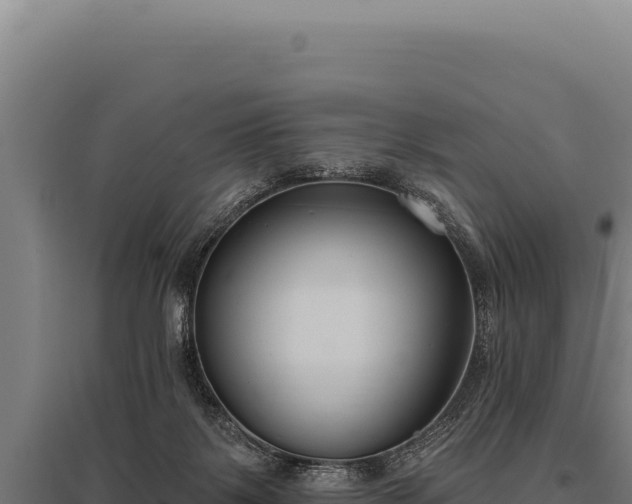 X0000095960123200801181454