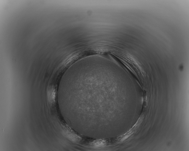 X0000095960124200801181454