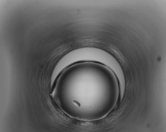 X0000095960125200801181454