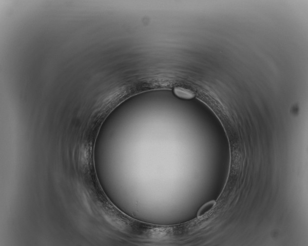 X0000095960126200801181454