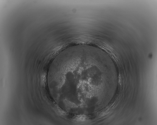 X0000095960127200801181454