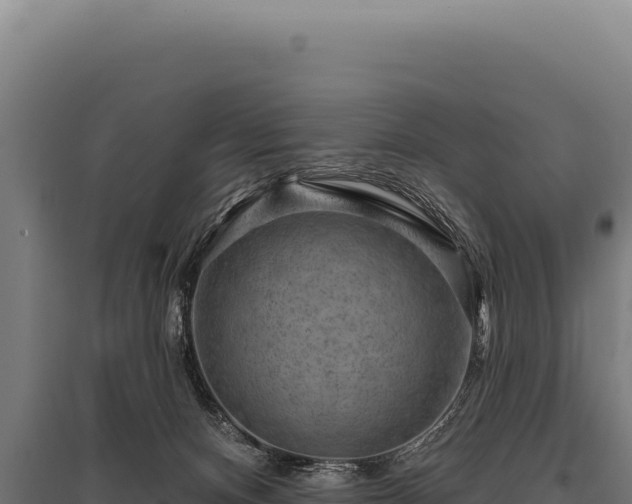 X0000095960128200801181454