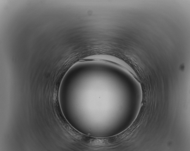 X0000095960129200801181454