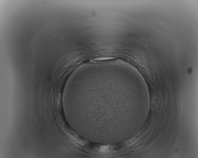 X0000095960130200801181454