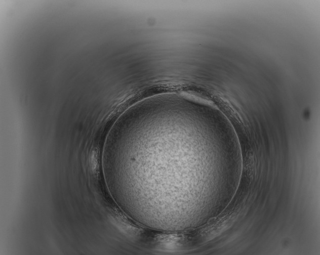 X0000095960131200801181454