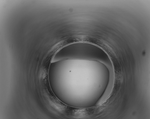 X0000095960132200801181454