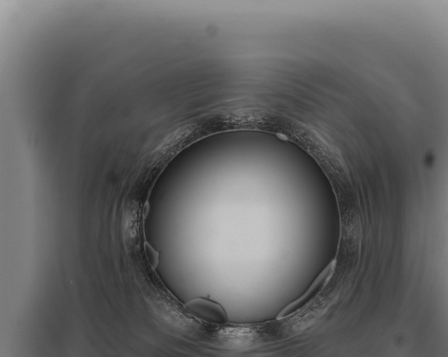 X0000095960133200801181454