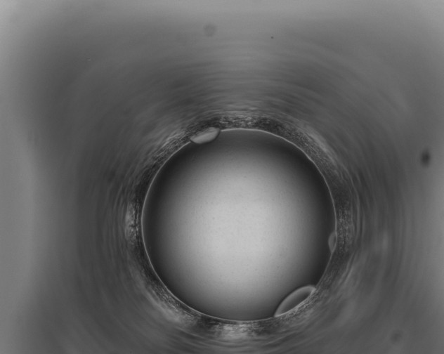 X0000095960134200801181454