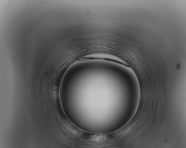 X0000095960135200801181454