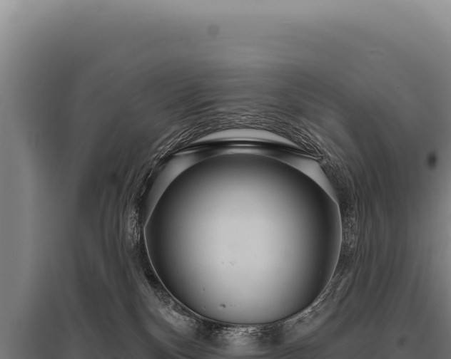 X0000095960136200801181454