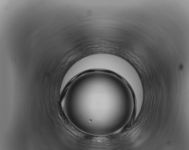 X0000095960137200801181454