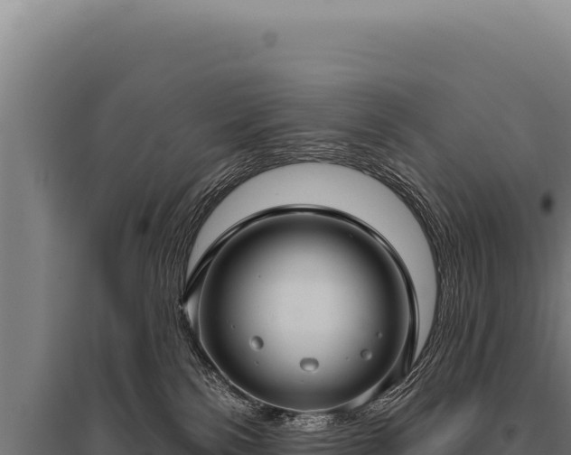 X0000095960138200801181454