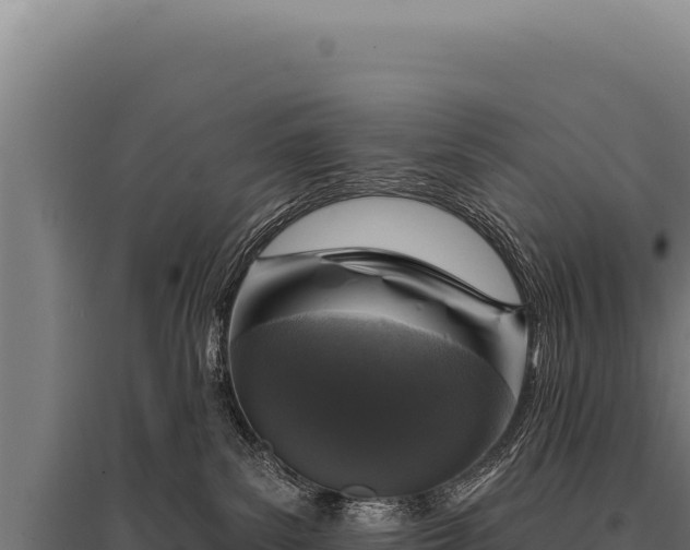 X0000095960139200801181454