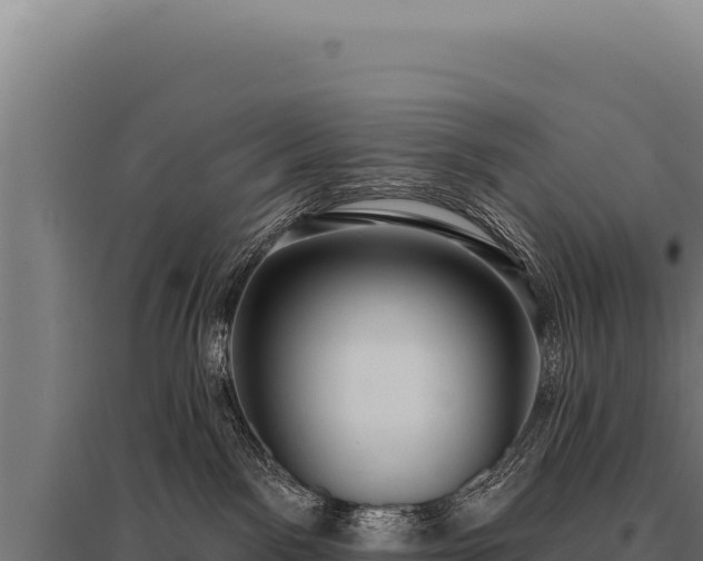 X0000095960141200801181454