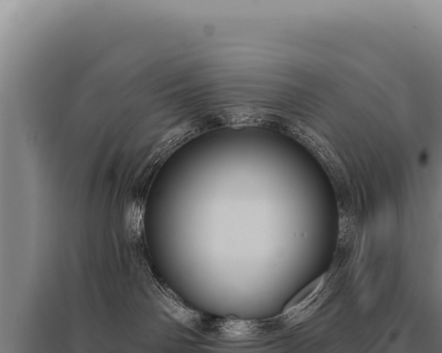 X0000095960142200801181454