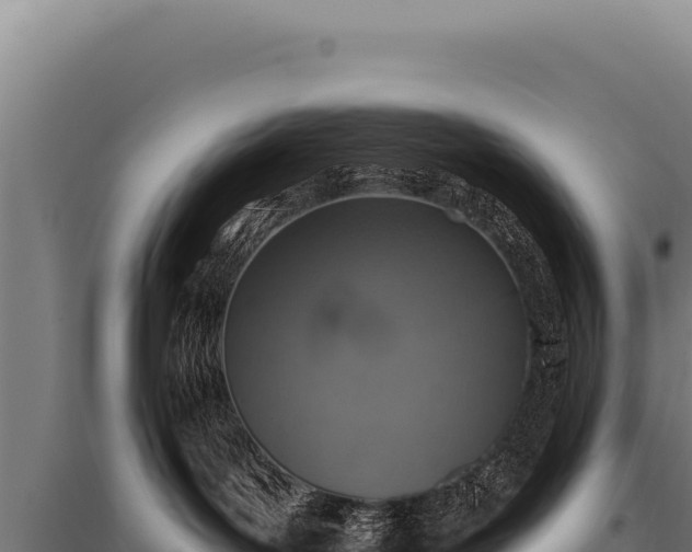 X0000095960143200801181454