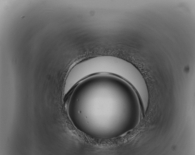 X0000095960144200801181454