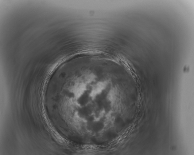 X0000095960145200801181453