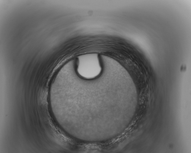 X0000095960146200801181453