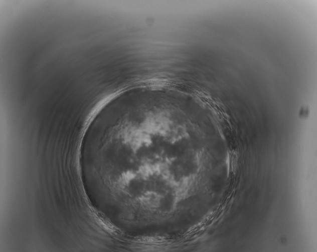 X0000095960147200801181453