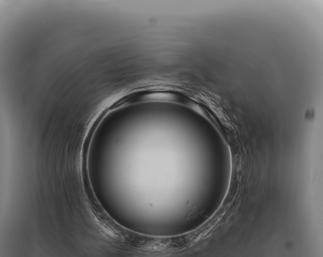 X0000095960148200801181453