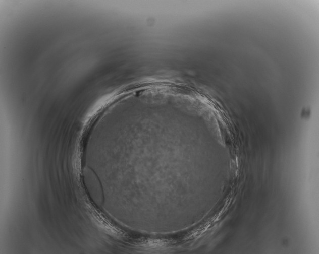 X0000095960149200801181453